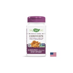 Cordyceps/ Кордицепс 500 mg х 60 капсули Nature’s Way