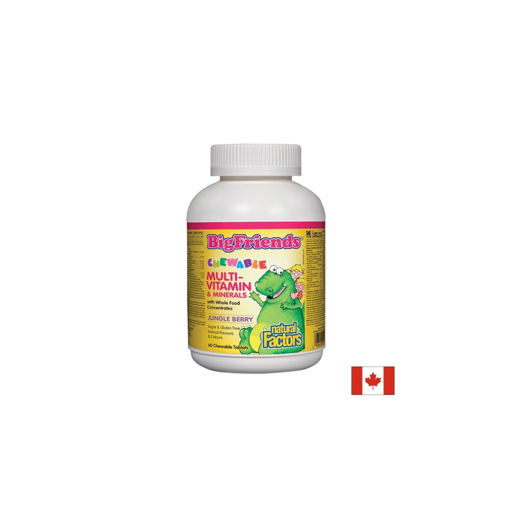 Multi-Vitamin & Minerals Big Friends® / Мултивитамини и минерали за деца х 60 дъвчащи таблетки с вкус на плодове от джунглата Natural Factors Multi-Vitamin & Minerals Big Friends® / Мултивитамини и минерали за деца х 60 дъвчащи таблетки с вкус на плодове от джунглата Natural Factors