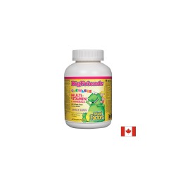 Multi-Vitamin & Minerals Big Friends® / Мултивитамини и минерали за деца х 60 дъвчащи таблетки с вкус на плодове от джунглата Natural Factors