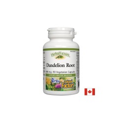 Dandelion Root/ Глухарче (корен) 425 mg x 90 софтгел капсули Natural Factors