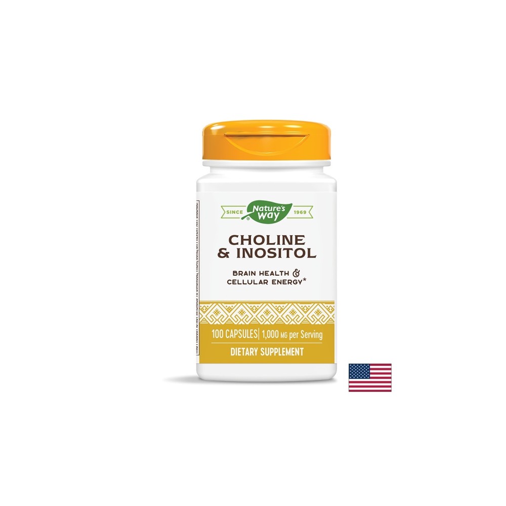 Choline & Inositol –Холин и инозитол - Невропротекция и метаболитен профил, 500 mg, 100 капсули Nature’s Way