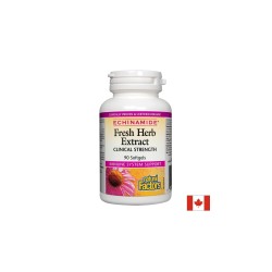 Echinamide® Fresh Herb Extract/ Ехинацея екстракт 250 mg х 90 софтгел капсули Natural Factors