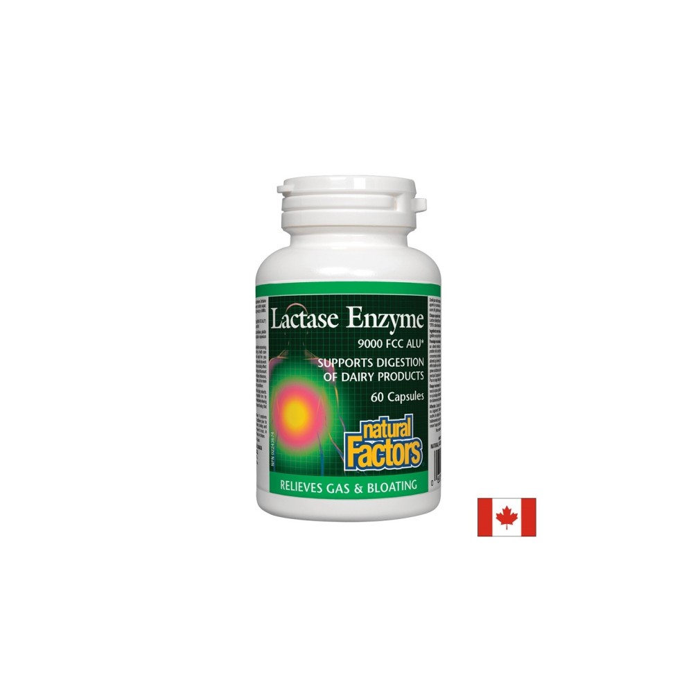 Lactase Enzyme / Лактаза ензим 250 mg х 60 капсули Natural Factors Lactase Enzyme / Лактаза ензим 250 mg х 60 капсули Natural Factors