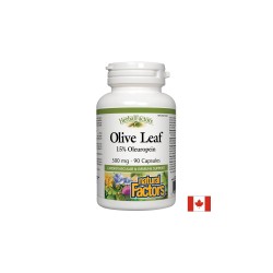 Olive Leaf / Маслина (лист) 500 mg х 90 капсули Natural Factors