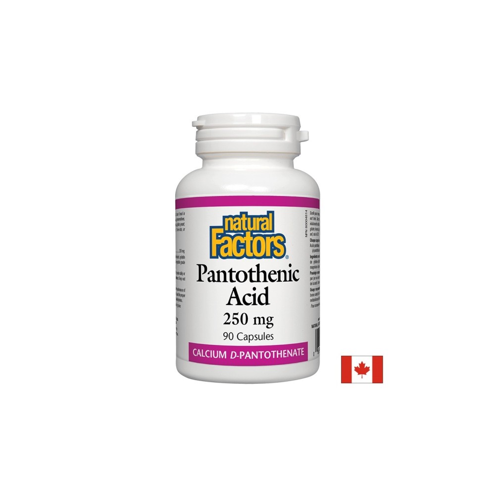 Pantothenic Acid - Пантотенова киселина / Витамин В5 (калциев д-пантотенат), 250 mg, 90 капсули Natural Factors Pantothenic Acid - Пантотенова киселина / Витамин В5 (калциев д-пантотенат), 250 mg, 90 капсули Natural Factors