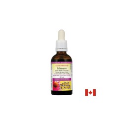 Простуда и грип Echinamide® - Тинктура с ехинацея, 50 ml (без алкохол) Natural Factors