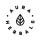 Aura Herbals