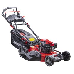 R20 Косачка бенз. самоход ел. старт 173cc 3.7kW (5hp) 53cm 21" 70L 5в1 2500m2 RDP-GLM11 Solo