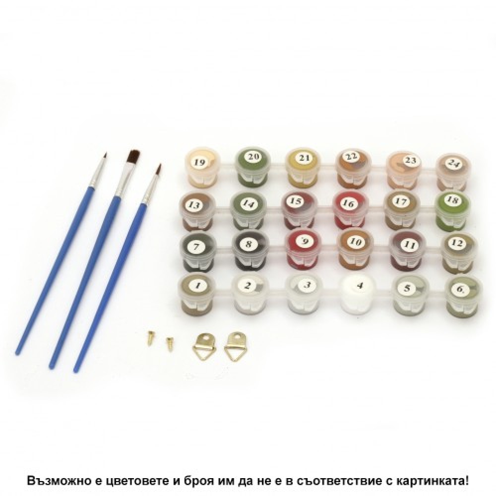 Комплект,рисуване,номера,платно,40х30см,Модел1