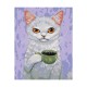 Foska Комплект рисуване по номера Grumpy, 40 x 50 cm Foska Комплект рисуване по номера Grumpy, 40 x 50 cm