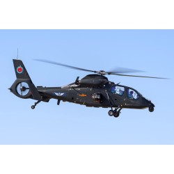 1:48 Z-19 Лек разузнавателен/щурмов хеликоптер З-19 (Z-19 Light Scout/Attack Helicopter)