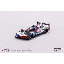BMW M Hybrid V8 #25 BMW M Team RLL 2023 IMSA Sebring 12 Hrs 2nd Place 2023  (LHD)