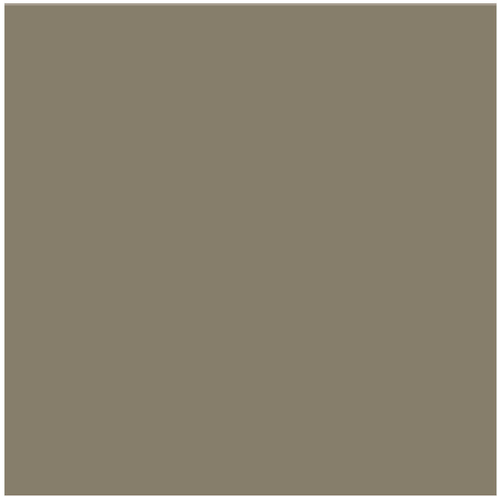 C-529 IDF Gray (2) (-1981 Golan) (10 ml) - Mr. Color for Tank Models, Israel