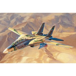 1:48 Изтребител Ф-14А "Персийска котка" (“Persian Cat” F-14A TomCat - IRIAF)