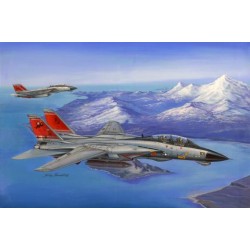 1:48 Палубен изтребител на САЩ Grumman F-14D Super Tomcat