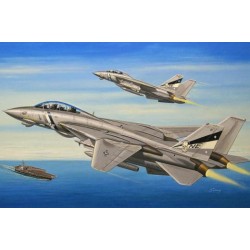 1:72 Американски палубен изтребител Груман Ф-14Д (Grumman F-14D Super Tomcat)