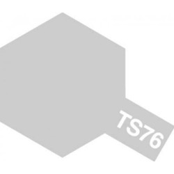 TS-76 Mica Silver - Spray Paint (100 ml)