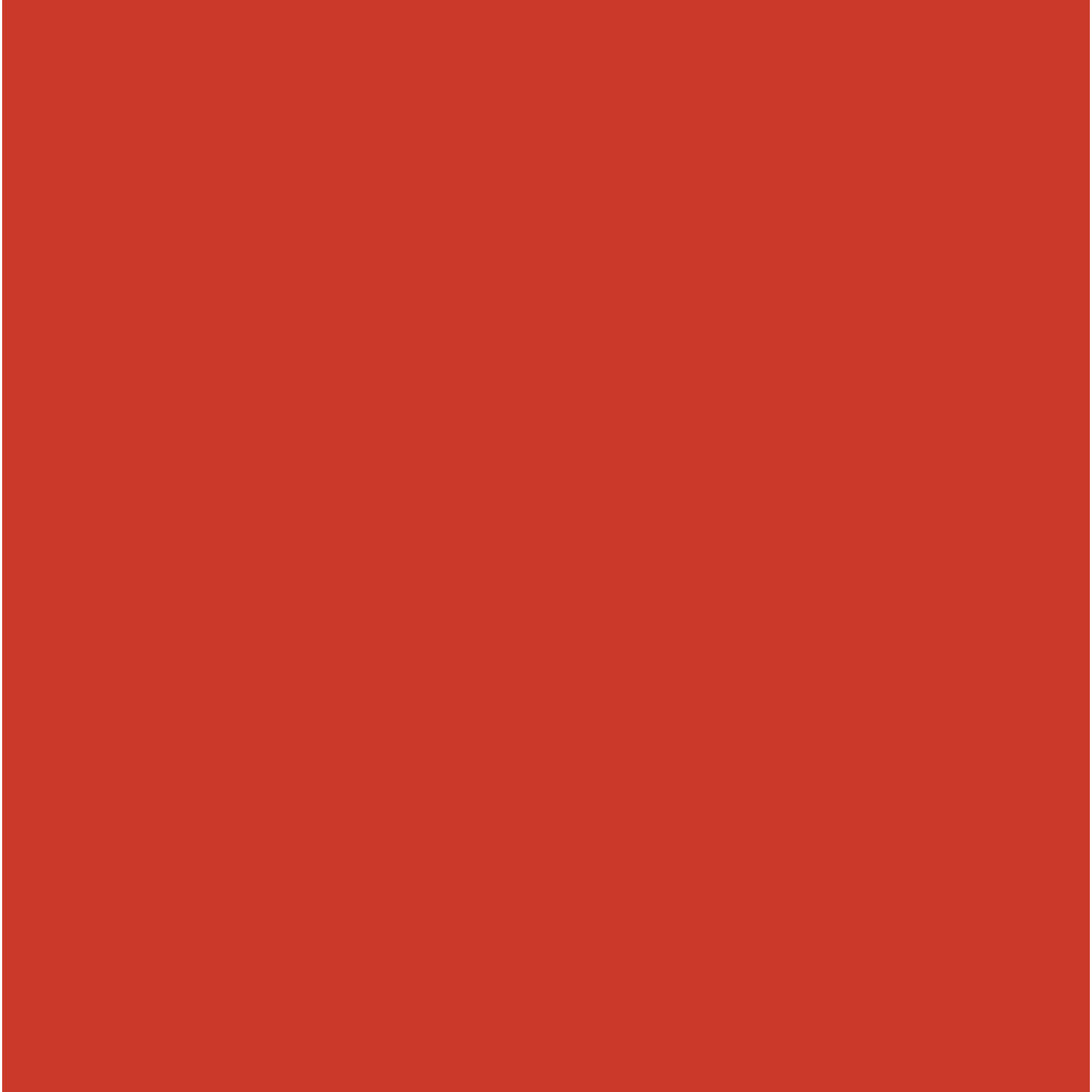 C-007 Brown (10 ml) - Mr. Color