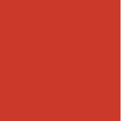 C-007 Brown (10 ml) - Mr. Color