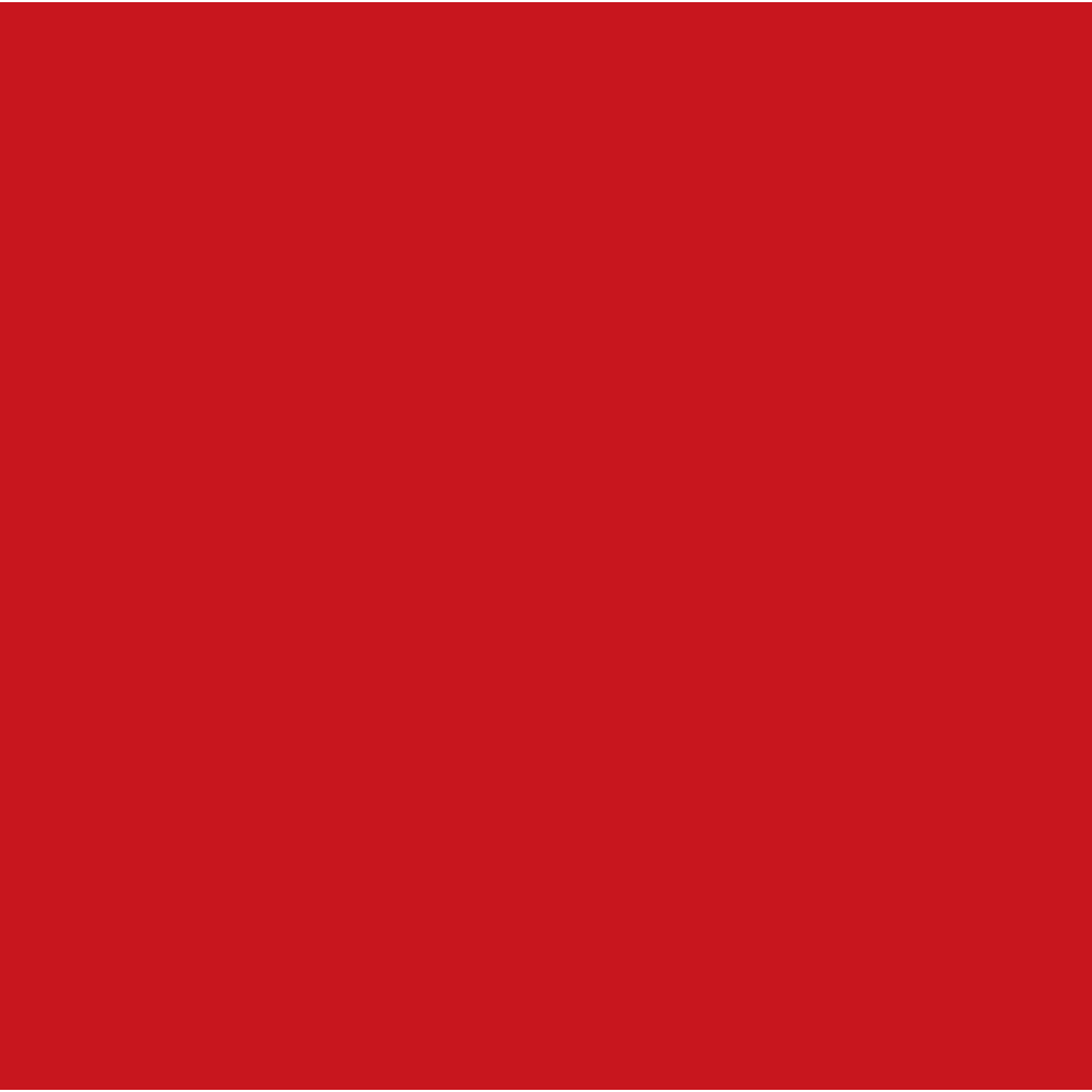 C-108 Character Red (10 ml) - Mr. Color
