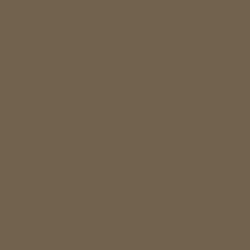 C-310 Brown FS30219 (10 ml) - Mr. Color for Aircraft Models, USA