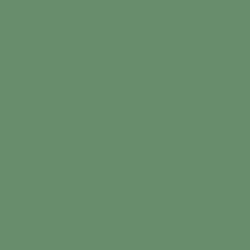 C-336 Hemp BS4800-10B21 (10 ml) - Mr. Color for Aircraft Models, Great Britain