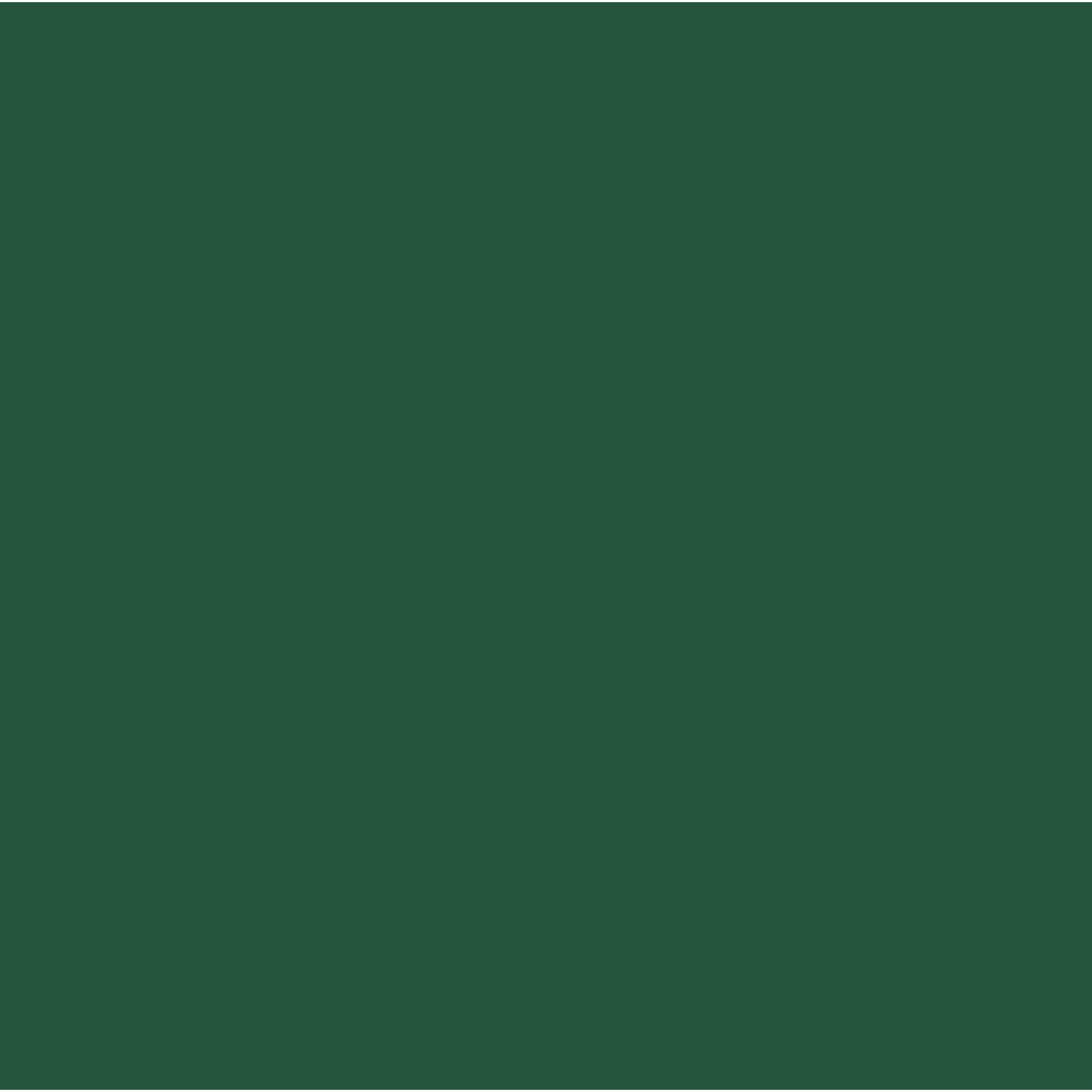 C-340 Field Green FS34097 (10 ml) - Mr. Color for Aircraft Models, USA