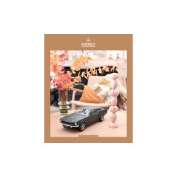 NOREV COLLECTION 2020