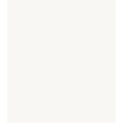 C-069 Off White (10 ml) - Mr. Color