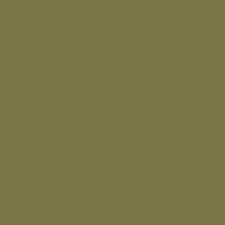 C-351 Zinc-Chromate Type FS34151 (10 ml) - Mr. Color for Aircraft Models