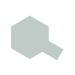 TS-81 Royal Light Gray, gloss - Spray Paint (100 ml)